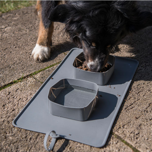 Hund frisst aus PROCYON Rollbarer Silikon-Doppelnapf