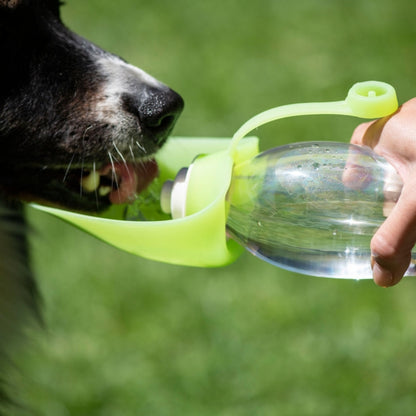 Hund trinkt aus PROCYON Trinkflasche Leaf