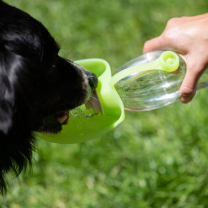 Hund trinkt aus PROCYON Trinkflasche Leaf